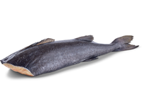 Šaldyta mažoji angliažuvė, be galvos, skrosta, 0% glazūra, 1,8 - 2,3 kg, ~2 kg / 22kg