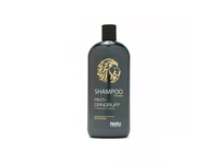 NELLY šampūnas vyrams PROFESSIONAL REFRESHING, 400 ml