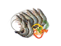 Šaldytos didžiosios tigrinės krevetės, nevirtos, su galvomis, su kiautais, 21/30, 20% glazūros, 1kg