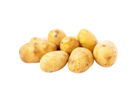 Mažosios bulvytės AGATA, 20-40 mm, 0.6 kg