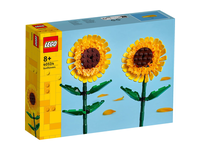Konstruktorius LEGO SAULĖGRĄŽOS  