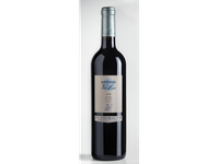 Vynas Embruix de Vall Llach, Doq Priorat-Spain, raudonas, sausas,  0,75 l
