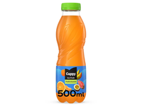 Įvairių vaisių gėrimas CAPPY ICE FRUIT, 500 ml