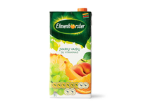 Įvairių vaisių sulčių gėrimas ELMENHORSTER, 2l