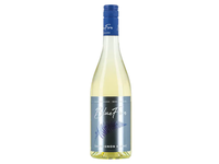 Baltasis sausas vynas BLUE FERN SAUVIGNON BLANC 12,5% 0,75L