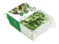 Salotų mišinys, gražgarsčių lapai ir sultenė, 100 g, VDV