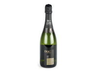 Pusiau sausas rūšinis putojantis vynas DUC DE FOIX CAVA 11,5%, 750 ml