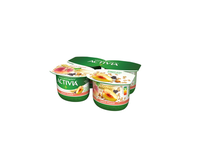 ACTIVIA jogurtas su persikais ir dribs., 2,9%, 480 g