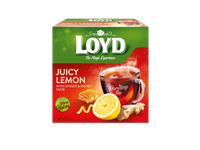 Vais. arbatos gėrimas LOYD, imbierų ir medaus sk., 50 x 2 g, 100 g