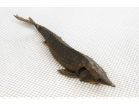 Karštai rūkytas sibirinis eršketas, skrostas, su galva, 1,5-4 kg,  kg