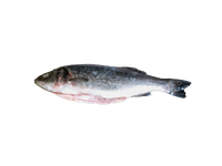 Šaldytas paprastasis vilkešeris su galva, skrostas, 300-400g, 20% glazūra,5kg