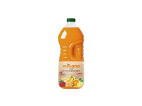 Įvairių vaisių sultys WOSANA 2.8 l