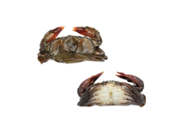 Šaldyti krabai,minkštu kiautu,10% glazūra,1kg