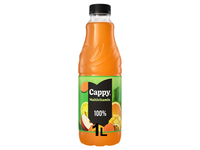 Įvairių vaisių nektaras CAPPY JUICE, 1 l