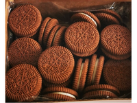 Sausainiai „DVYNUKAI“ kakaviniai su vanilės skonio kremu, 0,800kg