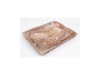 Šaldytas paprastasis aštuonkojis,valytas,nevirtas,2-3kg,5% glazūra,~2,5kg