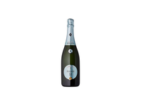🇮🇹 Berlucchi '61 Franciacorta Saten DOCG putojantis vynas 12.5%, 750 ml