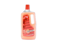 Universali valymo priemonė Economy 1L Fruit