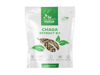 RAW POWDERS CHAGA EKSTRAKTAS 500 mg, 90 kapsulių