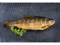 FS Karštai rūkytas upėtakis, 0,5-1,3 kg, kg