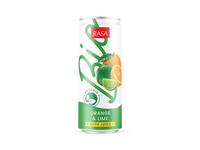 Ekol. gėr. RASA BIO, apel. ir cit. sk. 0,33 l