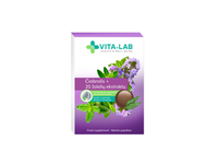 VITA-LAB kietosios pastilės gerklei Čiobrelis+ 20 žolelių ekstraktų, 12 pastilių