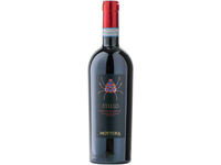 Mottura Stilio Primitivo 0,75 L