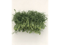 Skinti žirnių ūgliai, 100 g, GN1
