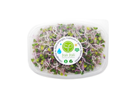 Ridikėlių daigai ŽALI ŽALI, violetiniai, 60 g