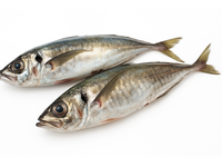 Paprastoji stauridė 240-450g, ~5kg