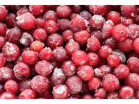 Šaldytos spanguolės, kultūrinės, 1kg