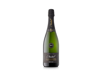 Putojantis vynas NADAL, Brut Nature, 12%, 0,75 l