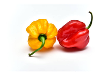 Aitriųjų pipirų HABANERO mix, kg