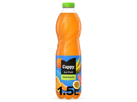 Negazuotas įvairių vaisių skonio gaivusis gėrimas CAPPY ICE FRUIT, 1,5 l