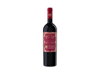 Raudonasis sausas vynas DOPPIO PASSO APPASSIMENTO, 750 ml