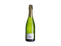 Putojantis baltasis sausas vynas Cremant Theo Extra Brut, 750 ml