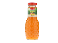 Multivitaminų nektaras GRANINI, 50 %, 0,25 l D