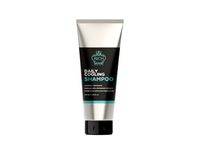 Pl. šamp. RICH FOR MEN DAILY COOLING, 250 ml
