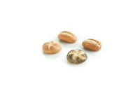 Šaldytos mini bandelės, 4 rūšių, 35 g, 4045294