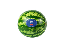Besėkliai arbūzai WELL DONE, 1 kg
