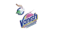 Dėmių valymo muilas Vanish 250g