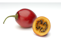 Tamarilai, I klasė, kg