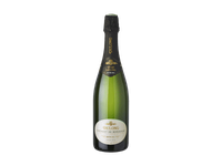 Pusiau sausas putojantis  vynas DULONG Cremant Bordeaux Demi Sec 11,5% 750 ml