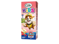 Vasaros uogų sulčių gėrimas CIDO PP, 0,2 l