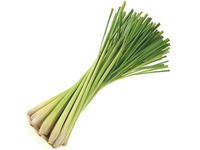 Citrinžolė, fasuota, 30 g