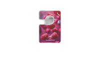Oro gaiviklis spintai Scented Card Elix 3 vnt. Fruits