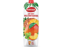 Įvairių vaisių sultys su vitaminais FORTUNA, 100 %, 1 l