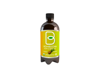 Ekologiškas ananasų sk. baltosios arbatos gėrimas KOMBUCHA, 400 ml
