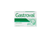 Maisto papildas GASTROVAL, 15 vnt.