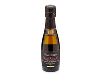 Sausas putojantis vynas PONTE VILLONI 10.5%, 200 ml